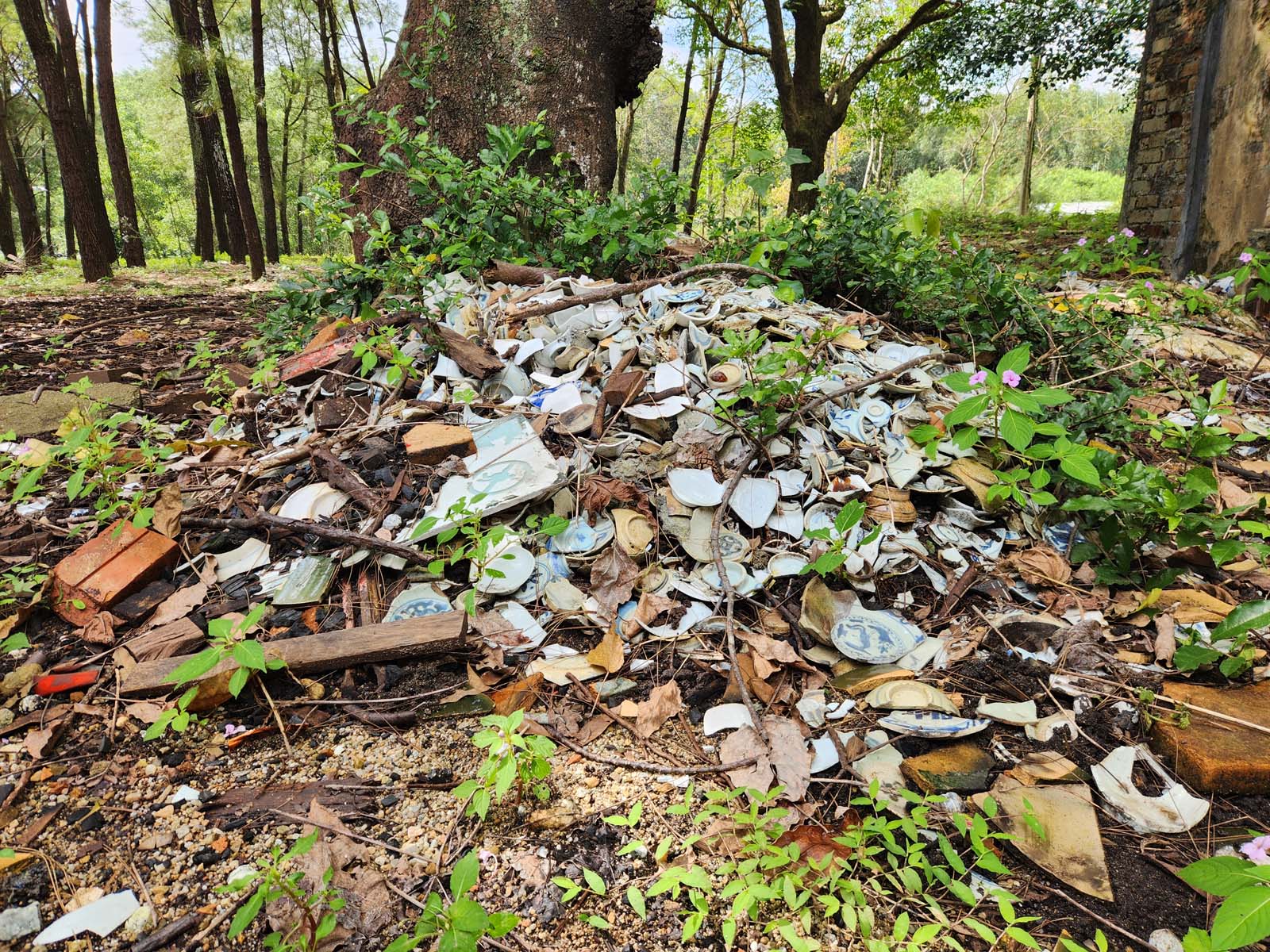 A pile of broken ceramic bowls in the woods.